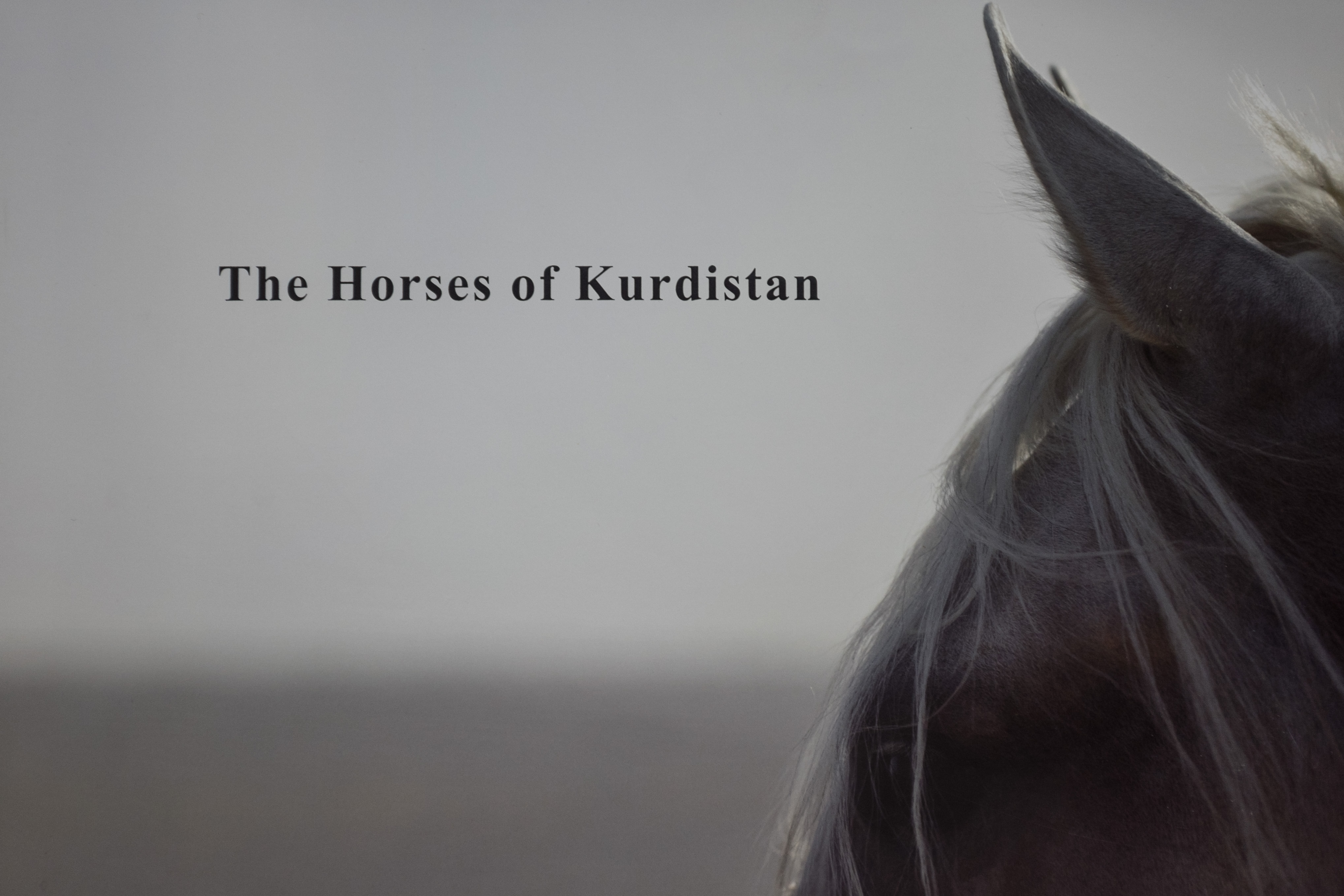 The Horses of Kurdistan recounts history through animals